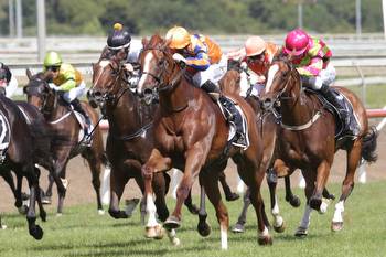 Wild Night Impresses In Uncle Remus Stakes At Pukekohe