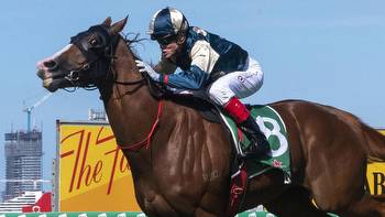 Will Freedman bullish about Alakahan in Stayer’s Cup at Randwick