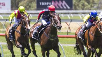Will Hulbert beaming over promising youngster Sir Leonidas