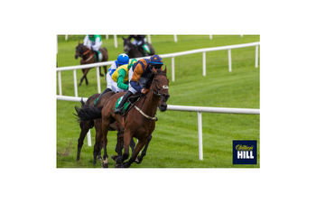 William Hill Promo Code for Horse Racing