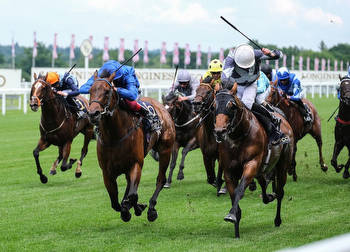William Hill Royal Ascot Betting Offer: Get Baaeed at 20/1 to win the Queen Anne Stakes