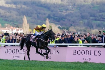 William Hill to become first bookmaker to go non-runner no bet on all 28 Cheltenham Festival races from New Year's Day