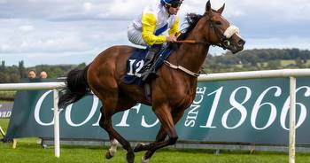 Willie Browne aiming at unlikely Breeders Cup success with Spirit Gal