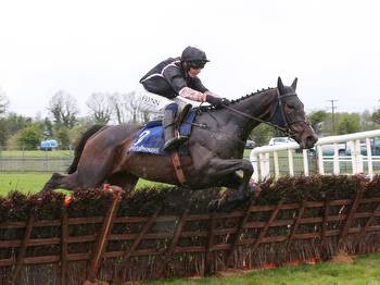 Willie Mullins: Brandy Love can hit the spot in Mares Hurdle