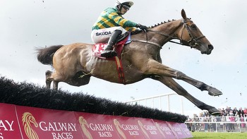 Willie Mullins triggers crash in Cheltenham Festival ante post market with horse who's bred to be a champion