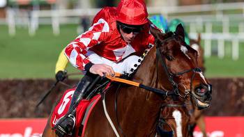 WilllowWarm Gold Cup: Mighty Potter set for Fairyhouse redemption mission for Gordon Elliott