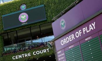 Wimbledon hit by ANOTHER delay to planned growth after council meeting is postponed