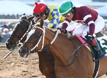 Winchell Homebred Recharge Collects 20 Kentucky Oaks Points At Sunland