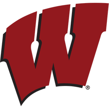Wisconsin Badgers vs LSU Tigers Prediction, Odds and Picks