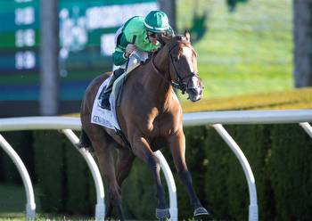 With a Whopping $631,088 in Combined Career Earnings, Three 3-Year-Old Fillies Are Set to Dominate $250,000 Race
