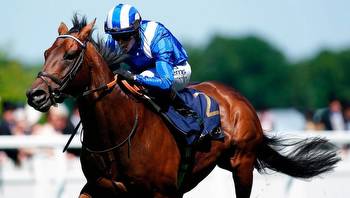 With perfect 10 from 10 races, Brilliant Baaeed can sign off at top of his game on Champions Day at Ascot