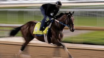 With Rich Strike Out, Epicenter Is 6-5 Favorite for Preakness Stakes