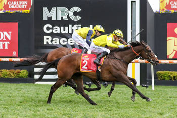 Without A Fight issued Melbourne Cup penalty
