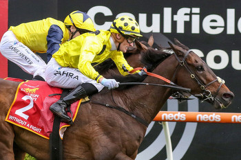 Without A Fight ready for second Melbourne Cup tilt