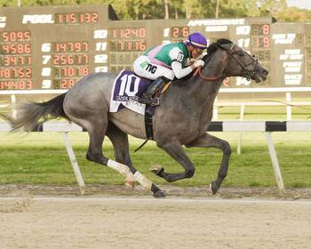 Wood Memorial Preview: Wide Open Field Takes Aim at Kentucky Derby