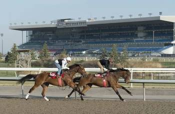Woodbine opens Saturday with hopes of another record year