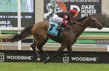 Woodbine roundup: Miss Dracarys wins Dance Smartly for Drysdale