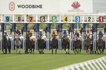 Woodbine Saturday Free Picks: Graded Stakes Analysis