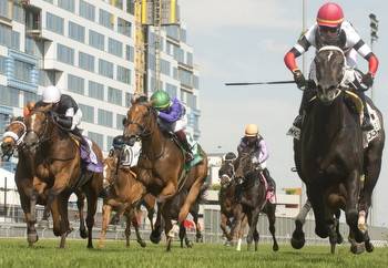 Woodbine trainer loses his prize filly following her big win
