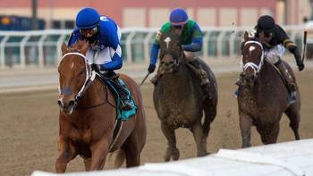 Woodward Stakes at Aqueduct Predictions, Best Bets, Odds