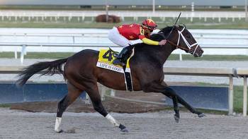 Woodward Stakes Predictions, Odds (Belmont Park)