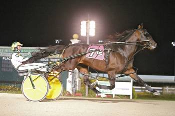 World record holder heads Dan Patch field