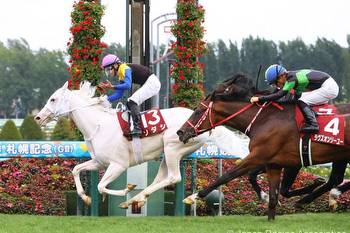 World's richest races marks weekend horse racing