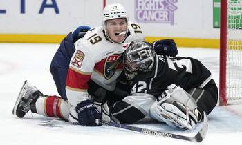 Worried the Florida Panthers Are Not in Playoffs at Thanksgiving?