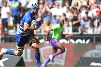 WP still hungry for Currie Cup success even if odds stacked against them
