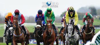 WSB Horse Racing: How to Play on World Sports Betting (February 2024)