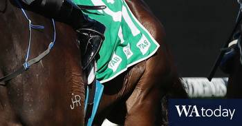 Wyong races Thursday tips and full preview