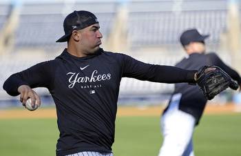 Yankees’ Jose Trevino suffers injury
