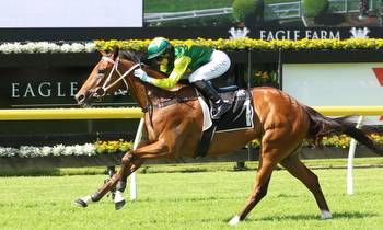 Yellow Brick on the road to Magic Millions Guineas glory