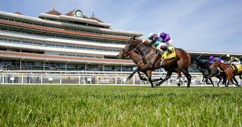 York day one tips: Newsboy's 1-2-3, Nap and best bets for every race on Wednesday