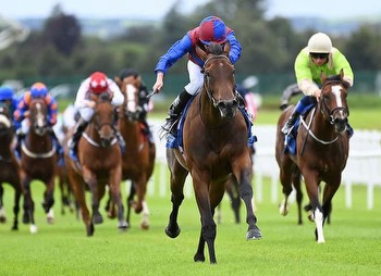 York Day Two ITV Racing Tips: Back Our Ebor Festival Best Bets