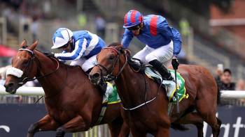 York Saturday preview: Dubai Honour favourite for Sky Bet York Stakes