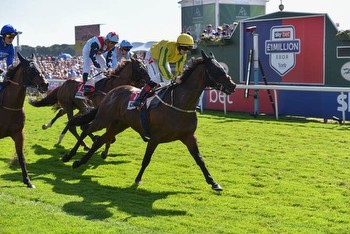 Yorkshire charity set to win £20K in Sky Bet Ebor Festival sweepstake