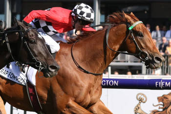 Young and old for Williams pair on Perth Cup day