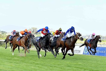Youth not wasted on the young when it comes to the Cape Guineas