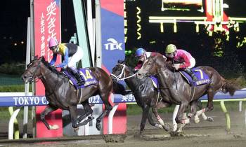 Yutaka Take Triumphs in the Japan Dirt Derby for the Fourth Time