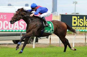 Zaaki backed as if unbeatable in Doomben Cup