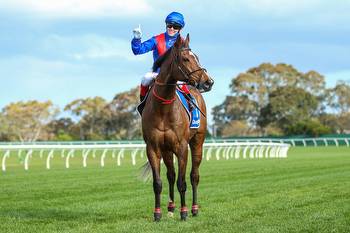 Zaaki Secures 2021 Cox Plate Favourite After Underwood Stakes Win