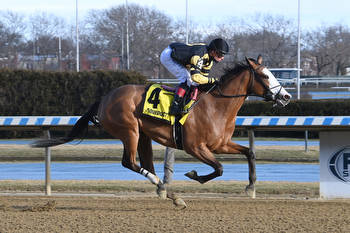 Ziaerati Takes Giant Step Up To Kentucky Oaks Trail