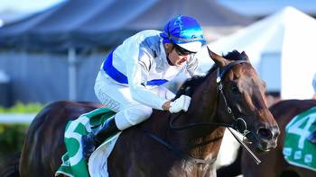 Zoustyle begins Doomben 10,000 climb in winter carnival appetiser