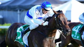 Zoustyle fancied in stakes race on Oaks day at Flemington