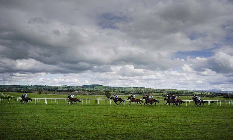 15:10 Punchestown: Timeform preview and free Race Pass