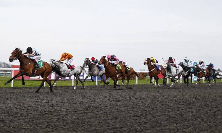 17:15 Kempton: Timeform preview and free Race Pass