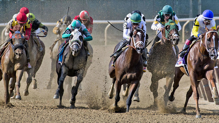 2020 Preakness States odds, predictions: Expert who's called 9 winners unveils surprising picks