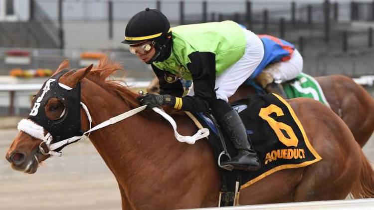 2022 Kentucky Derby Hopeful Snapshots: Courvoisier