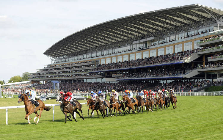 2022 King George VI and Queen Elizabeth Stakes Betting Tips & Trends